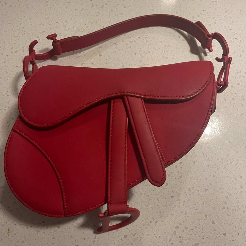 Matte dior saddle